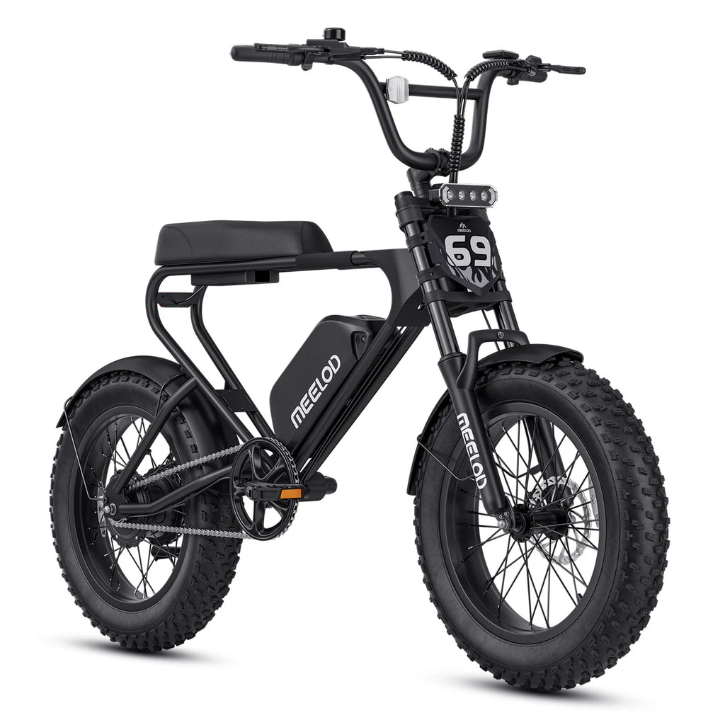 Meelod   DK200F   Moped-Style   Fat   Tire   Electric   Bike   for   Adults