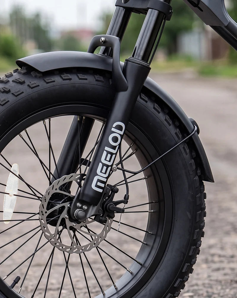 Meelod   DK200F   Moped-Style   Fat   Tire   Electric   Bike   for   Adults