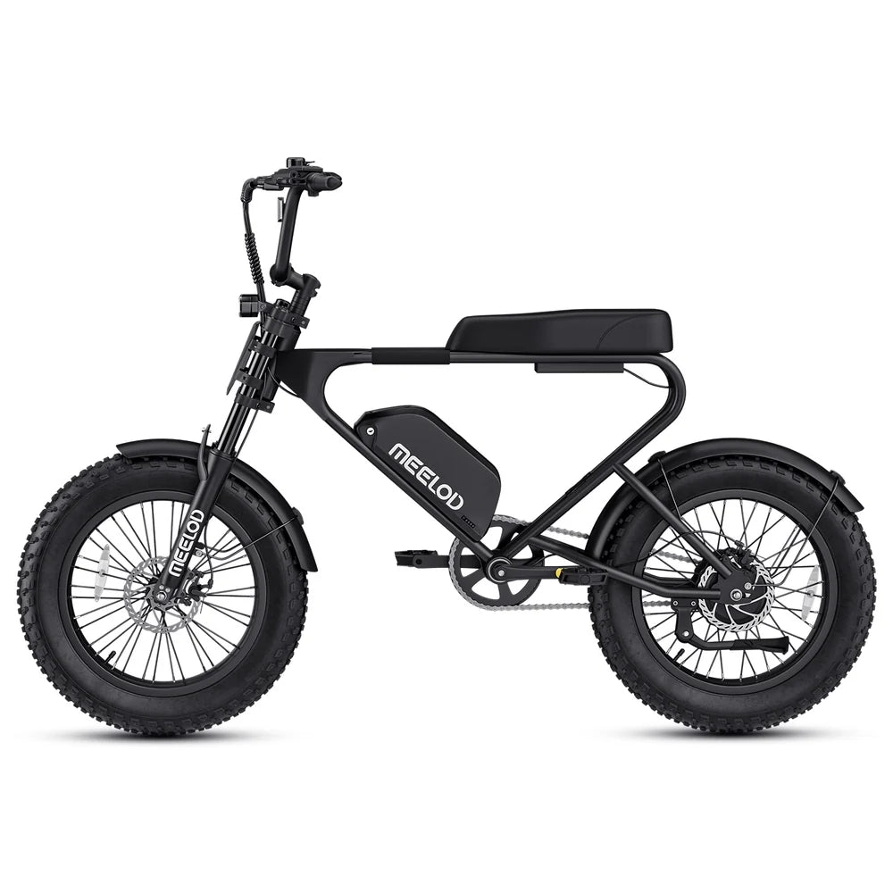 Meelod   DK200F   Moped-Style   Fat   Tire   Electric   Bike   for   Adults