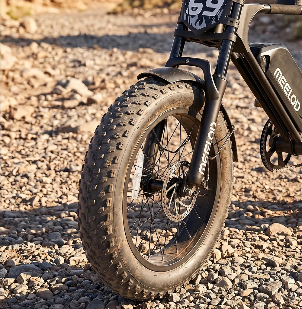 Meelod   DK200F   Moped-Style   Fat   Tire   Electric   Bike   for   Adults
