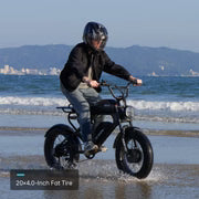 MEELOD   DK300MAX   Moped-Style   Fat   Tire   Ebike