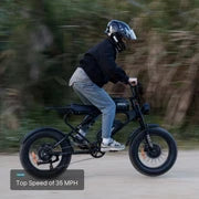 MEELOD   DK300MAX   Moped-Style   Fat   Tire   Ebike