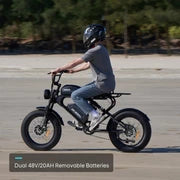 MEELOD   DK300MAX   Moped-Style   Fat   Tire   Ebike