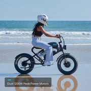 MEELOD   DK300MAX   Moped-Style   Fat   Tire   Ebike
