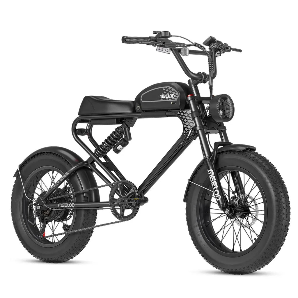 MEELOD   DK300MAX   Moped-Style   Fat   Tire   Ebike