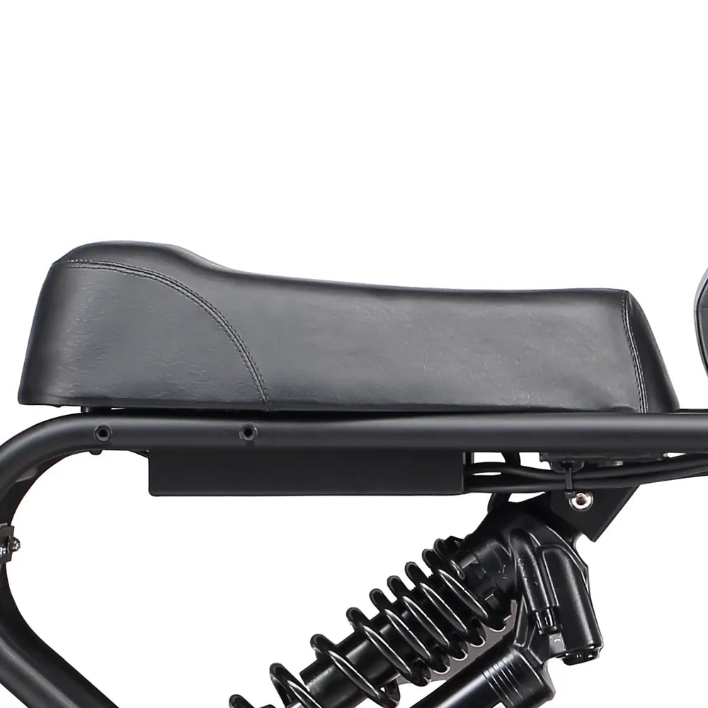 MEELOD   DK300MAX   Moped-Style   Fat   Tire   Ebike