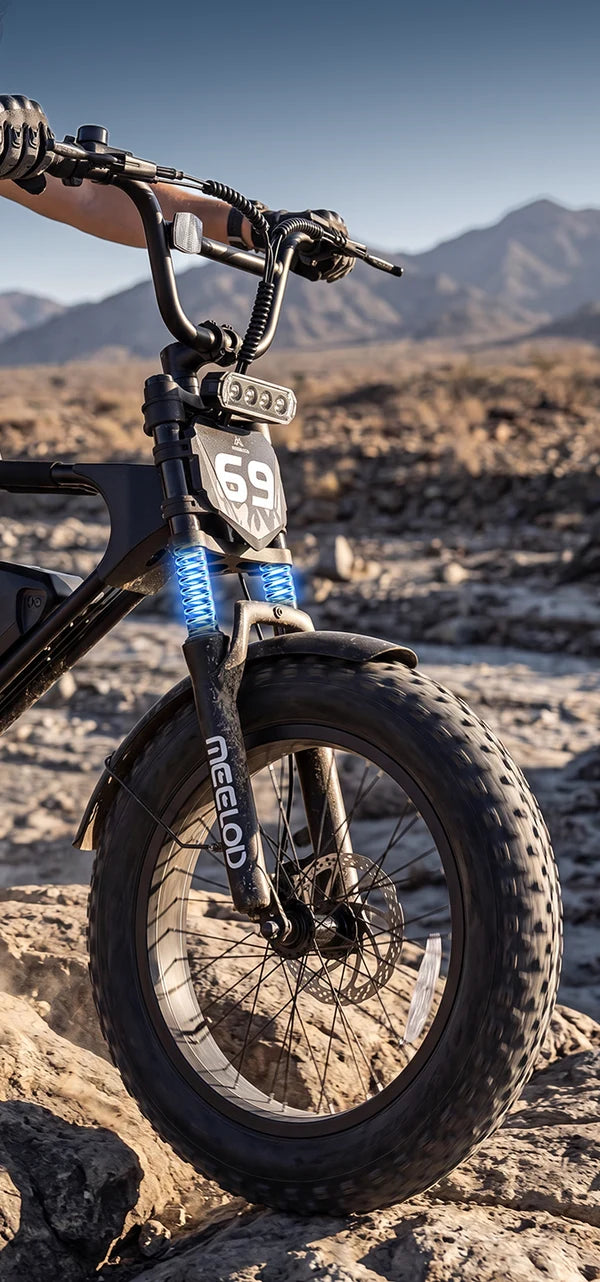 Meelod   DK200F   Moped-Style   Fat   Tire   Electric   Bike   for   Adults
