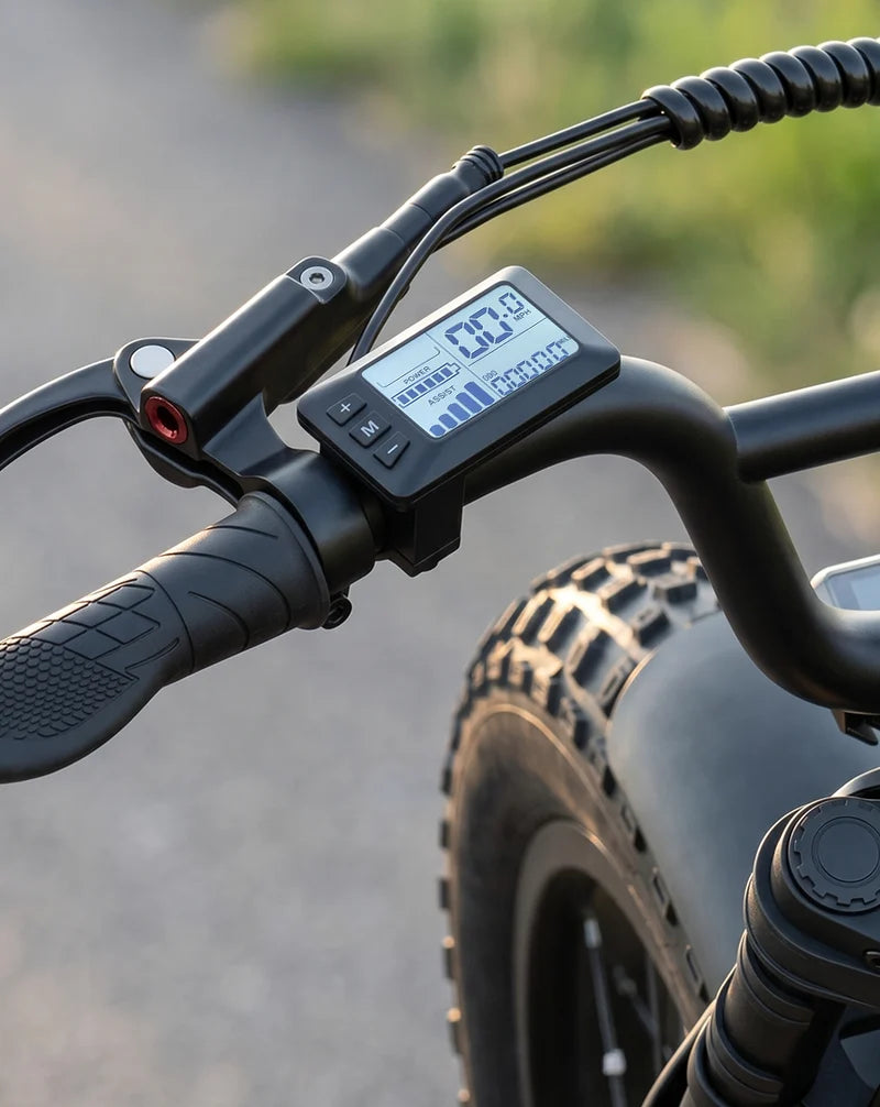 Meelod   DK200F   Moped-Style   Fat   Tire   Electric   Bike   for   Adults