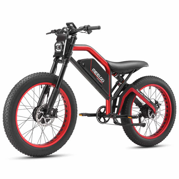 Meelod XT600DL   Fat   Tire   E-Bike