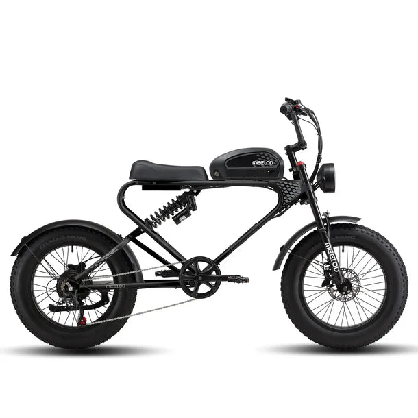 MEELOD   DK300MAX   Moped-Style   Fat   Tire   Ebike