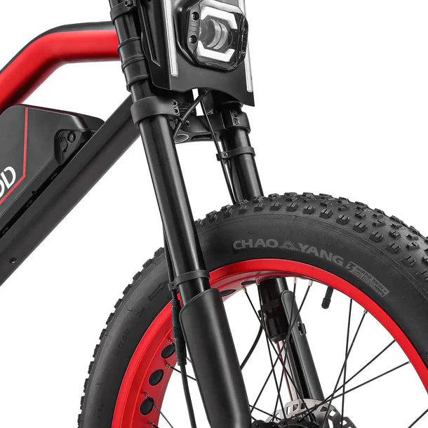 Meelod XT600DL   Fat   Tire   E-Bike