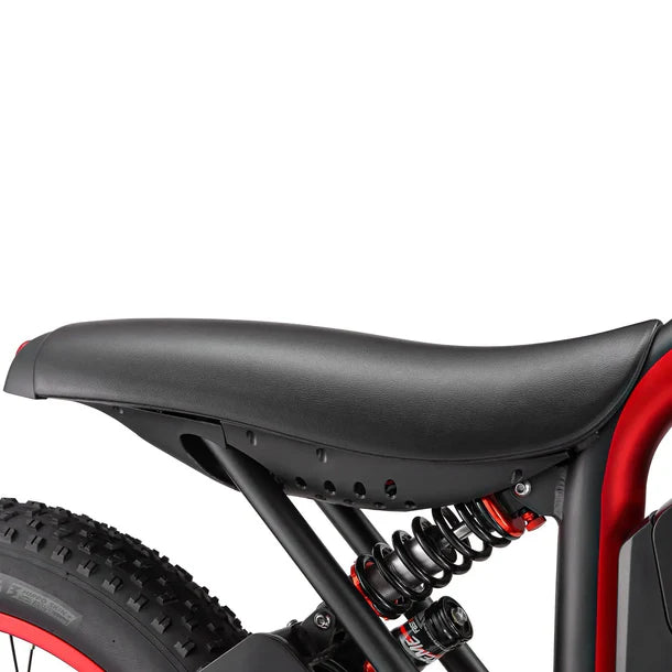 Meelod XT600DL   Fat   Tire   E-Bike