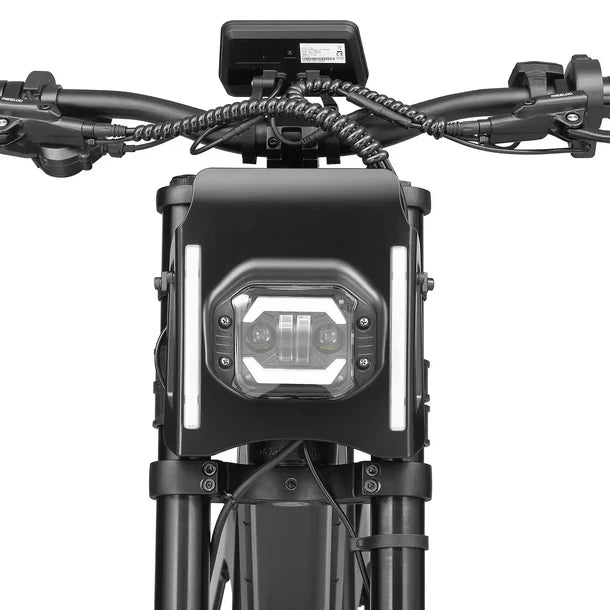 Meelod XT600DL   Fat   Tire   E-Bike